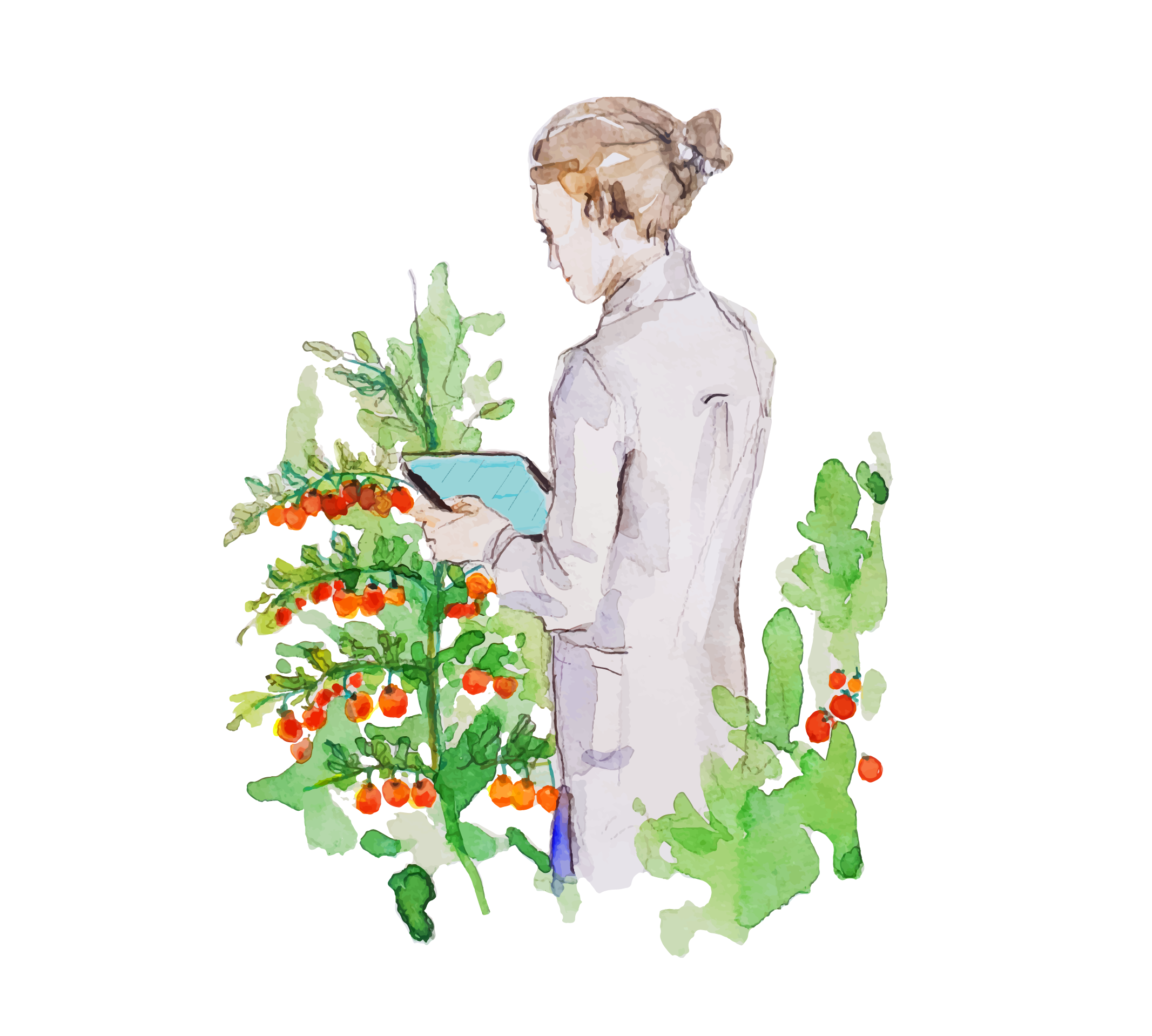 img/04_esperti specializzati.png