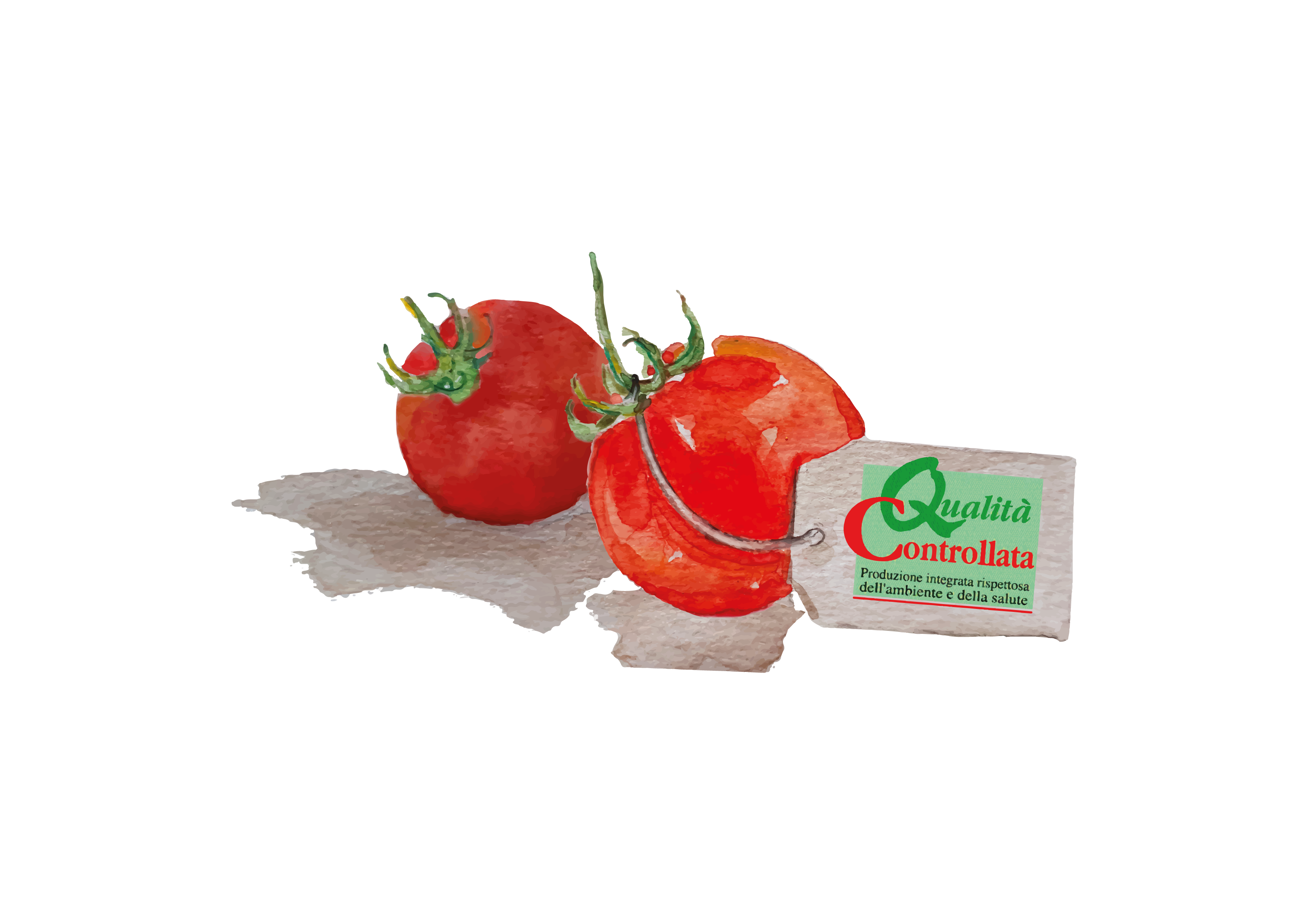 img/07_garanzia di qualità.png