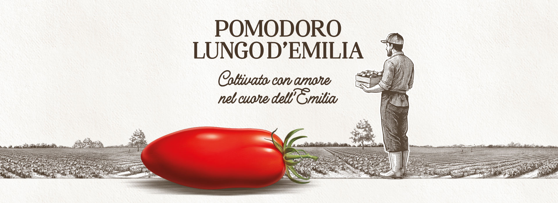 Pomodoro Emilia