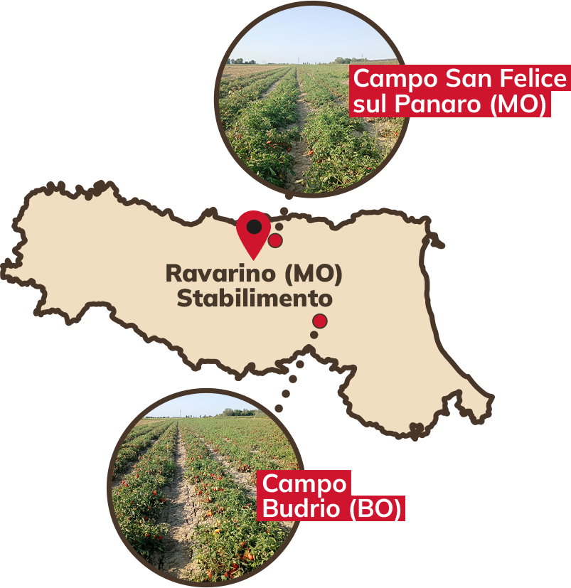 Territorio