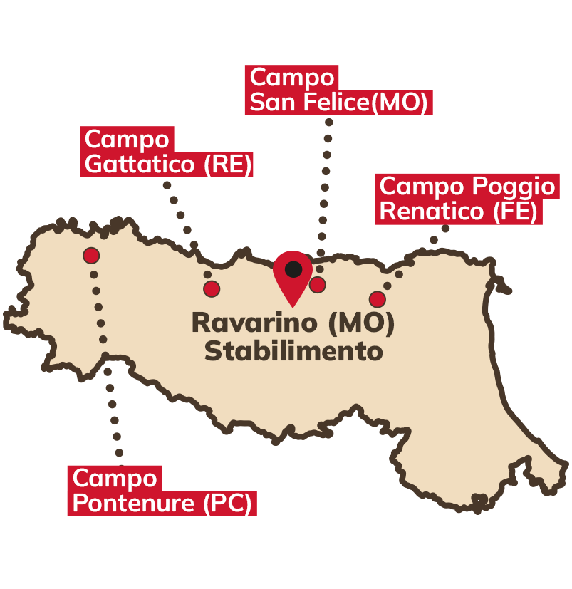 Territorio